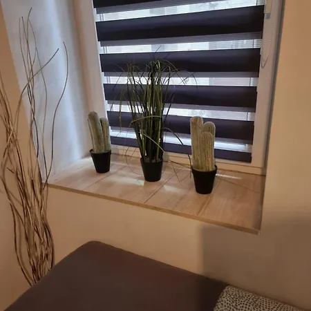 Citybase L Wojewodzka Street I & V شقة *